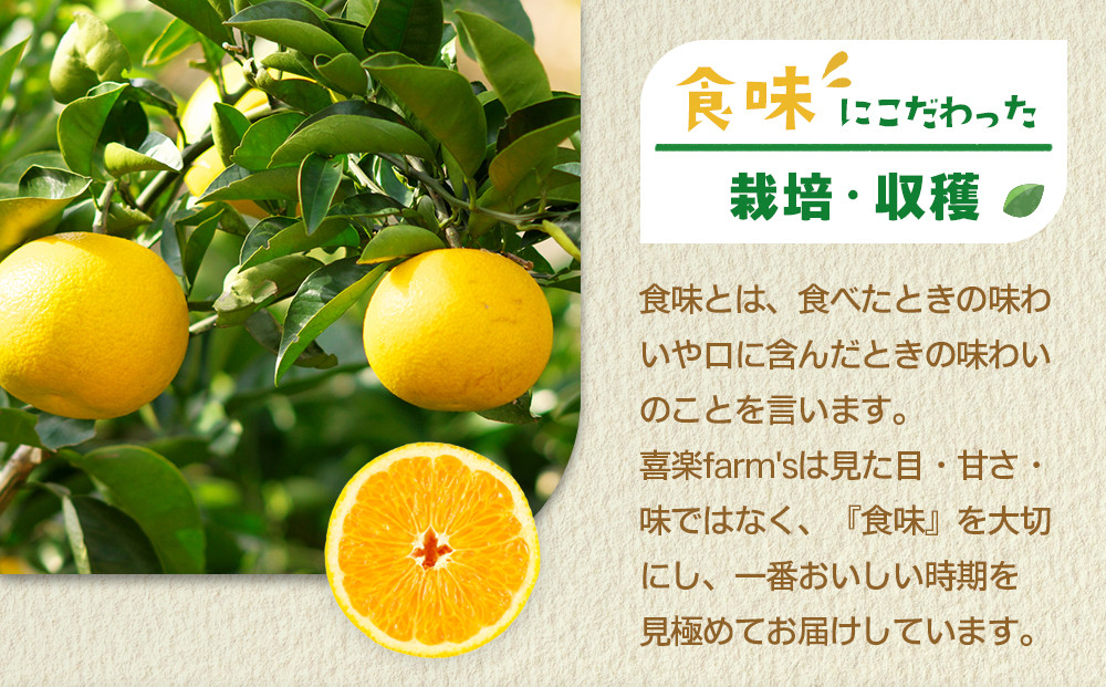 【産地直送】☆八朔☆サイズ混載（M～2L）☆9kg