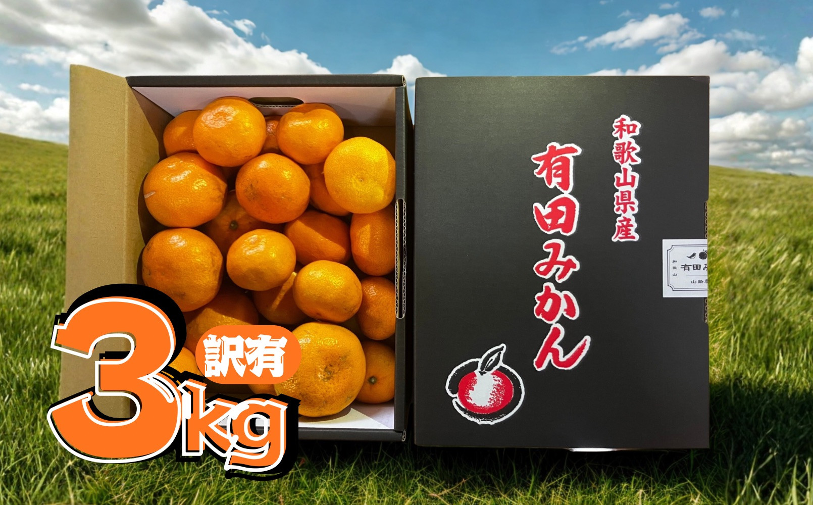 【訳あり】有田みかん 約3kg 家庭用