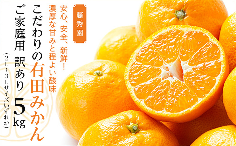 こだわりの有田みかん ご家庭用 訳あり 5kg 2L～3Lサイズいずれか