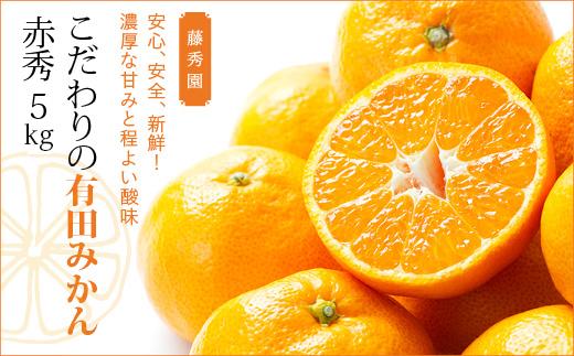 こだわりの有田みかん　赤秀　5kg