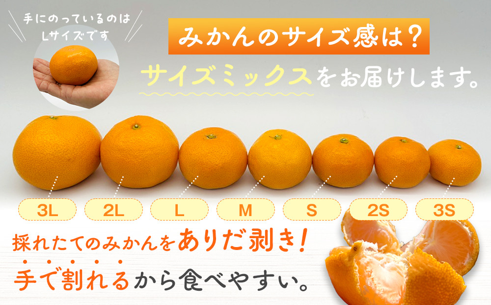 みかん うま採り 箱込約 5kg（内容量4.4kg） 光センサー選別 みかんの会厳選 サイズミックス 和歌山県産 産地直送 【みかんの会】［2026年11月中旬より順次出荷予定］