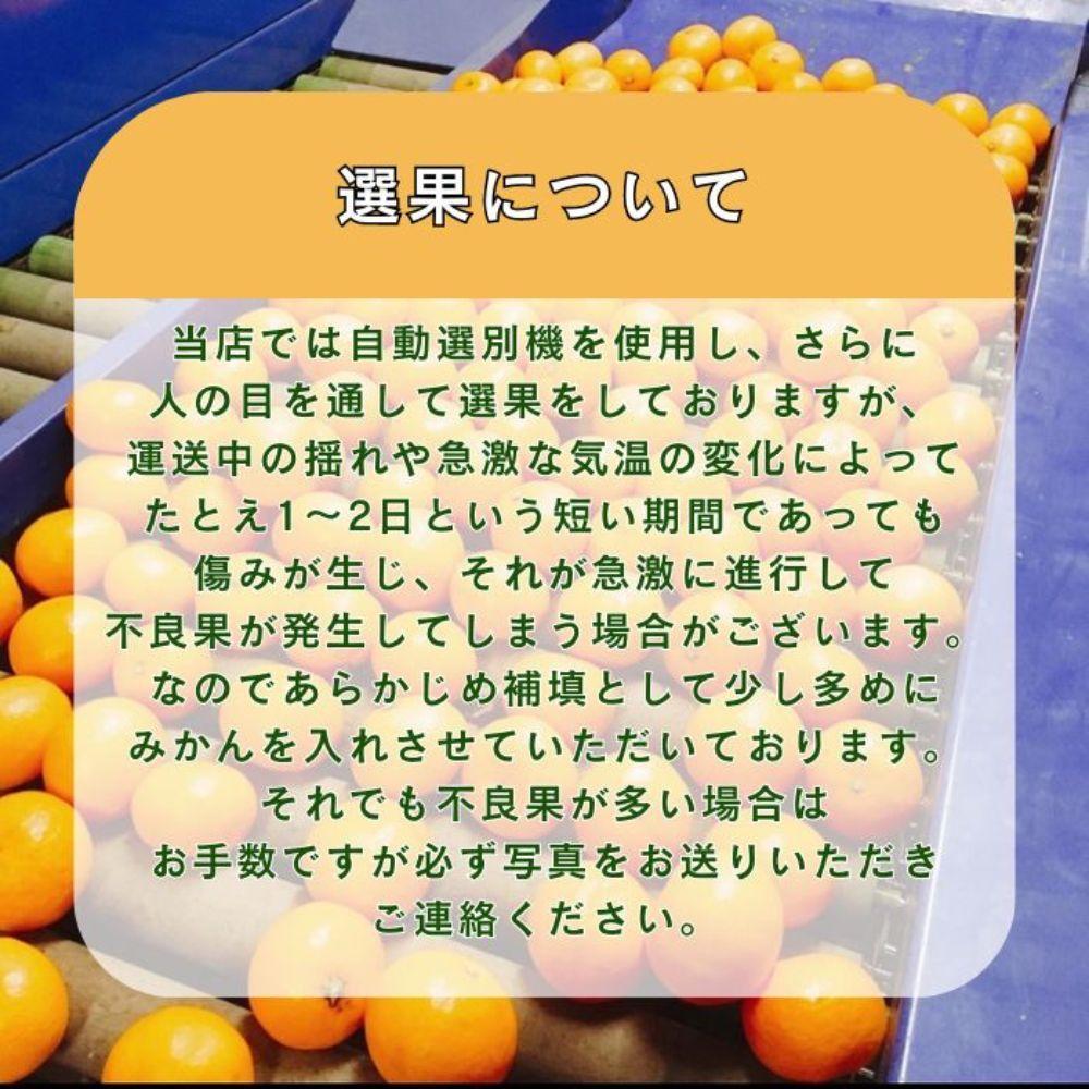有田みかん 由良早生S〜Lサイズ混合 約10kg 【2026年発送 先行予約】