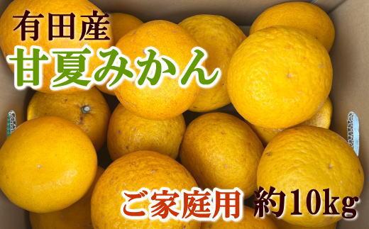 有田産訳ありご家庭用甘夏みかん約10kg（サイズ混合）★2027年4月中旬頃より順次発送予定