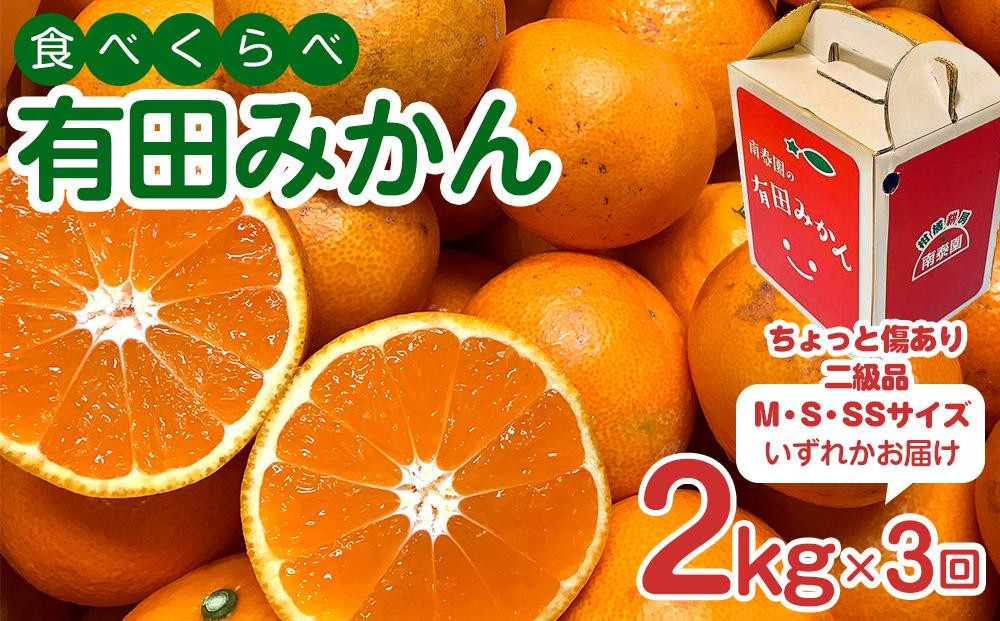 【 5年間 有田みかん 3種 食べくらべ ／ 全15回 】 ちょっと 傷あり 2kg × 3回 × 5年 コース 南泰園 みかん
