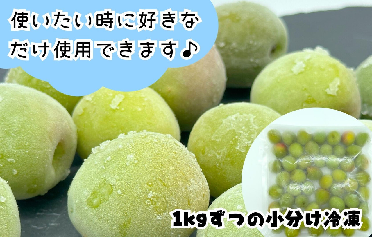 【2026年7月上旬～出荷予定】梅 冷凍 青梅 南高梅 10kg ( 1kg × 10袋) 秀品 2L or Lサイズ 和歌山県産 紀州有田 【みかんの会】