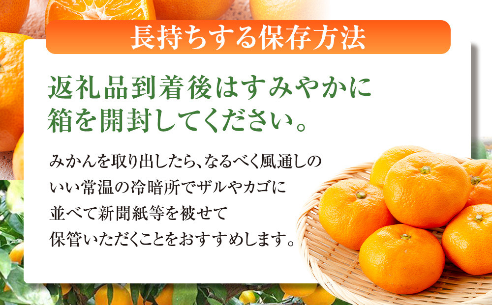 譛臥伐縺ソ縺九s蟆る摩蠎 譛臥伐縺ョ螟ェ髯スツョ繝輔ぃ繝溘Μ繝シ 譌ゥ逕溘∪縺溘ッ譎ゥ逕 譛臥伐縺ソ縺九s 9.5kgシ玖」懷─蛻100g 螻ア謗。繧後サ繧オ繧、繧コ繝サ遲臥エ 豺キ蜷