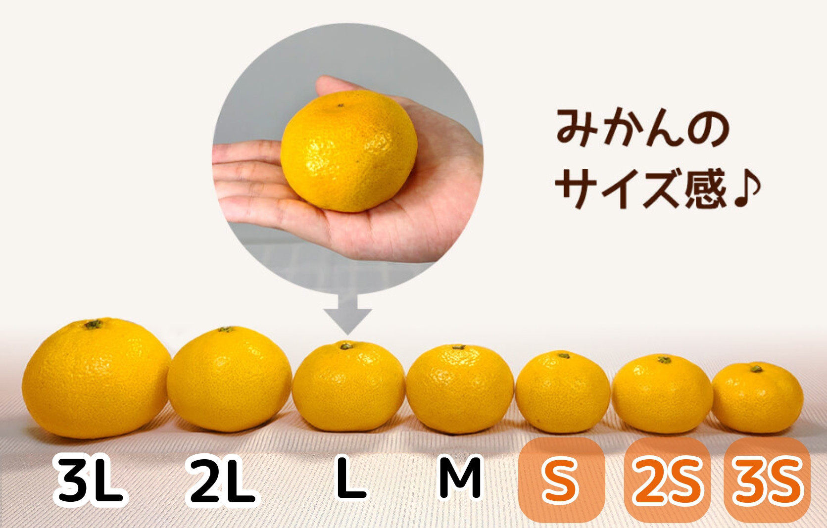 ゆら早生 みかん 小玉ちゃん 箱込7.5kg (内容量 6.8kg) 3S～Sサイズ混合 秀優混合 有田みかん 和歌山県産 【みかんの会】［2026年10月下旬頃より順次発送予定］