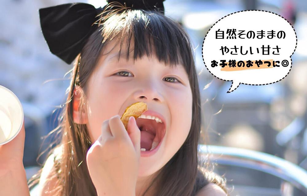 ドライフルーツ 柿チップ 800g ( 40g × 20袋 ) 和歌山県産 果物使用 自社製造 【みかんの会】