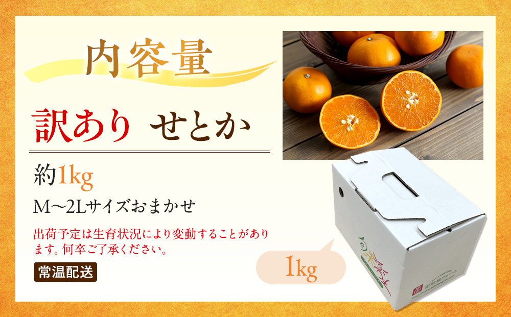 訳あり せとか 1kg M～2Lサイズおまかせ 高石垣ファーム