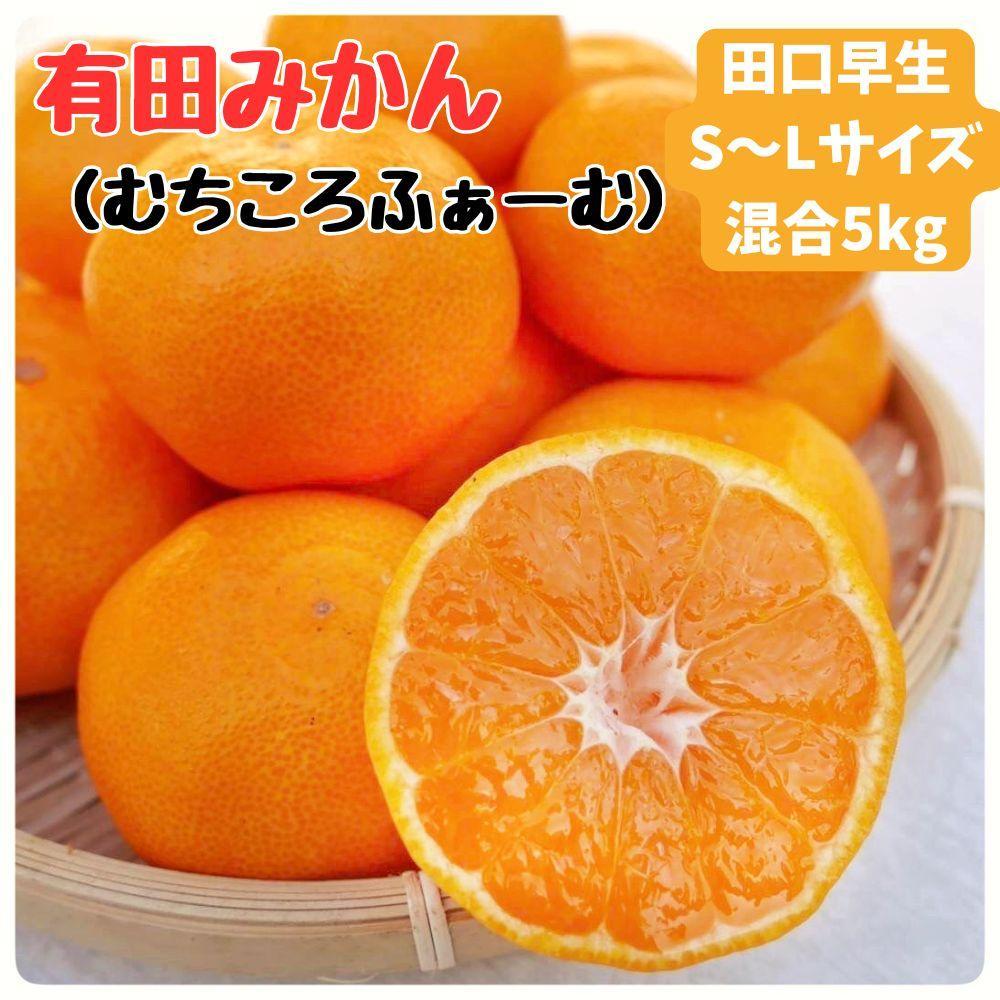 有田みかん 早生S～Lサイズ混合 約5kg【2026年発送 先行予約】