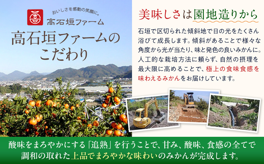 有田みかん しにせの味 約5kg 2S～2Lのいずれか 秀品または優品