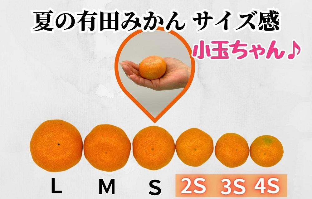 ã5æåºè·äºå®ãå°çã¡ãã ããŠã¹ã¿ãã æž©å®€æ œå¹ å€ã®æç°ã¿ãã 2kg ç§å 2Sãµã€ãºä»¥äž åæå±±ç ç£å°çŽé ã¿ããã®äŒ