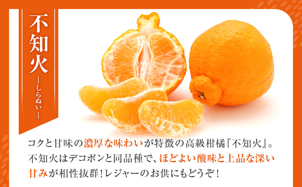 不知火(しらぬい) オレンジ みかん 訳あり 5kg サイズ混合