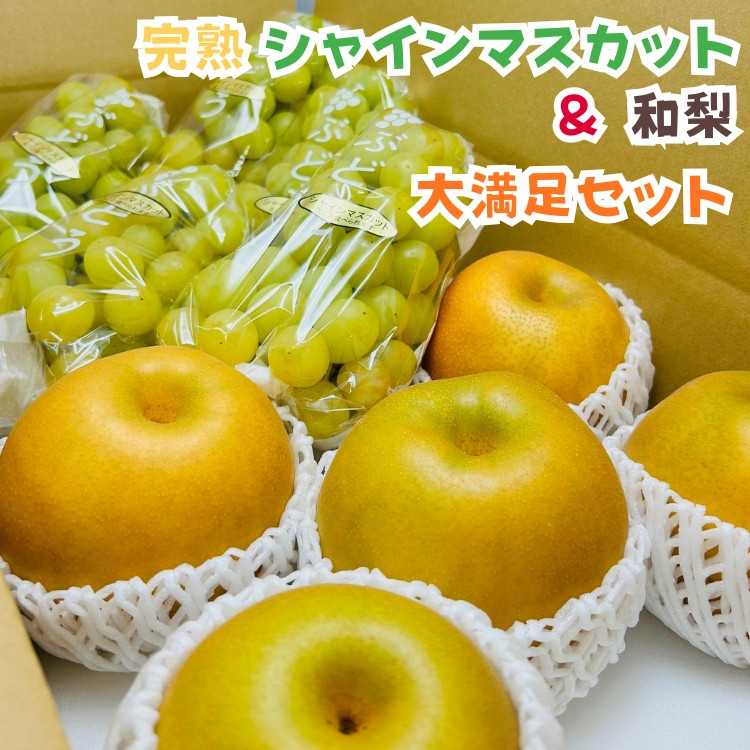 ［先行予約・2026年発送］朝採れ完熟シャインマスカットと和梨 大満足セット 約4kg