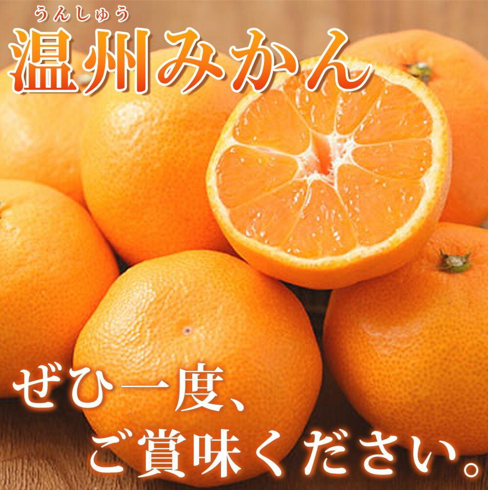 紀州有田産濃厚甘熟温州みかん5kg［2026年11月下旬以降発送］［先行予約］［UT09w］