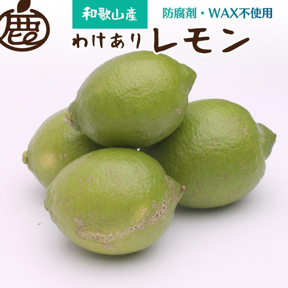 ［先行予約］わけあり レモン1.5kg+250g（傷み補償分）［和歌山有田産］［防腐剤・WAX不使用、安心の国産レモン］［わけあり・訳ありレモン］