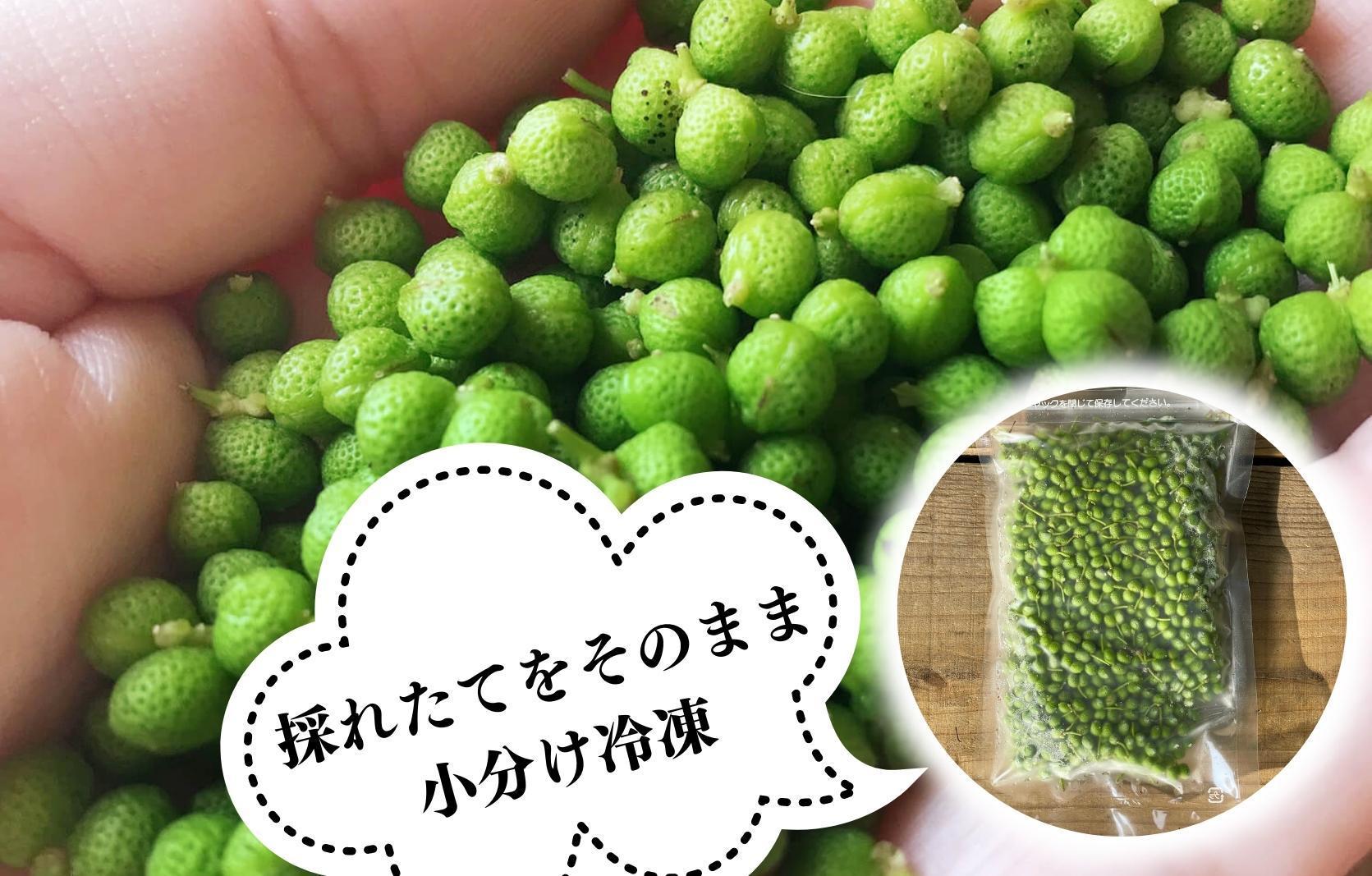 【6月下旬出荷予定】冷凍山椒 凍ってんじゃ ぶどう山椒 100g 和歌山県産 【みかんの会】