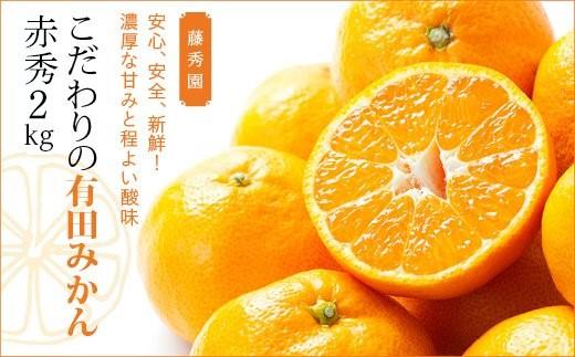 こだわりの有田みかん　赤秀　2kg