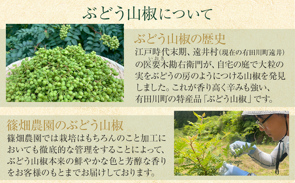 紀州ぶどう山椒【粒】 1袋  (7g) 篠畑農園