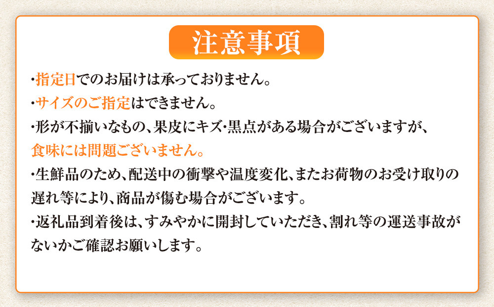 譛臥伐縺ソ縺九s蟆る摩蠎 譛臥伐縺ョ螟ェ髯スツョ繝輔ぃ繝溘Μ繝シ 譌ゥ逕溘∪縺溘ッ譎ゥ逕 譛臥伐縺ソ縺九s 4.5kgシ玖」懷─蛻100g 螻ア謗。繧後サ繧オ繧、繧コ繝サ遲臥エ 豺キ蜷