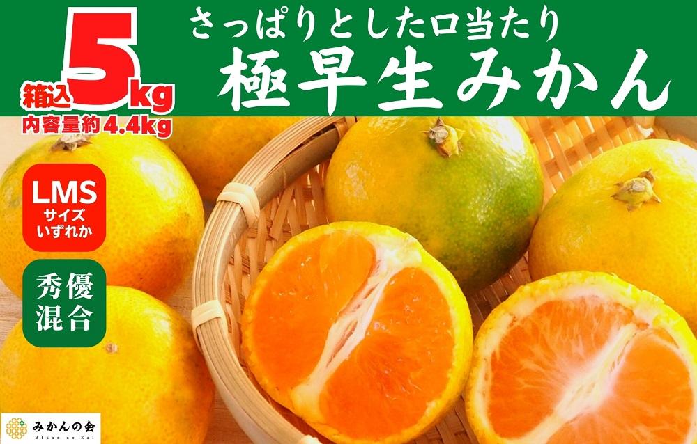 みかん 極早生 箱込 5kg (内容量約 4.4kg)  S/M/Lサイズのいずれか 秀品 優品 混合 有田みかん 和歌山県産 【みかんの会】［2026年10月上旬頃より順次発送予定］