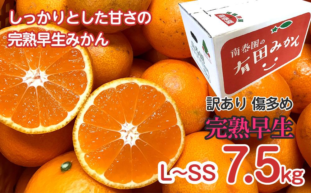 å®æäŸ¿ èš³ãã å·å€ã 7.5kg à 3å ã³ãŒã¹ æç°ã¿ãã é£ã¹ããã¹ 3çš® å
š3å åæ³°å ã¿ãã