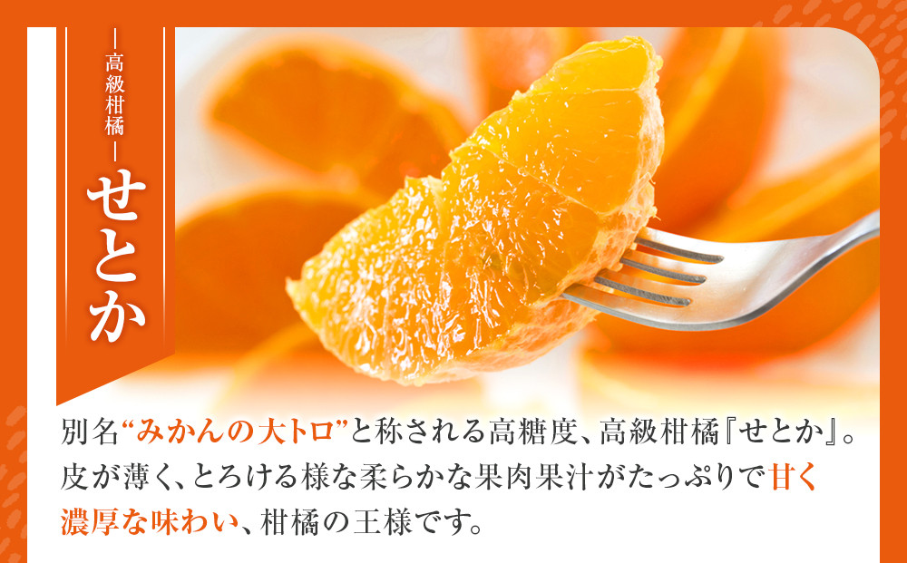 みかん の大トロ せとか 1.5kg 訳あり ブランド 和歌山 有田みかん 農家直送 オレンジ フルーツ 果物