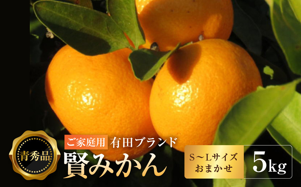 譛臥伐縺ョ繝悶Λ繝ウ繝峨瑚ウ「縺ソ縺九s縲5kg(Sス朖繧オ繧、繧コ縺翫∪縺九○シ峨#螳カ蠎ュ逕ィシサ2026蟷エ11譛井クュ譌ャ鬆繧医j鬆谺。逋コ騾シス