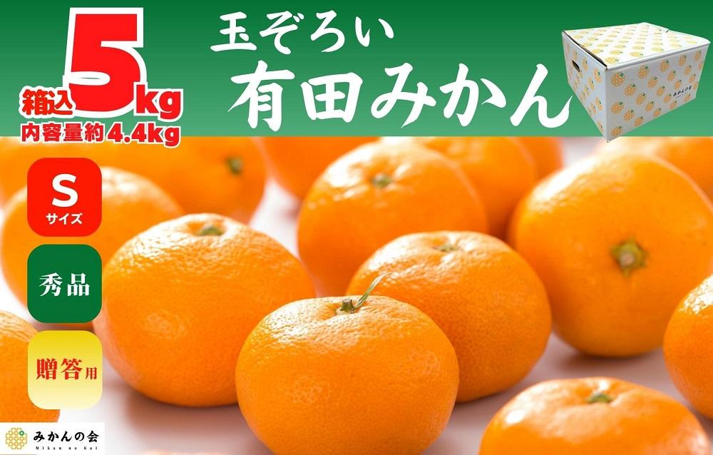 みかん Sサイズ 秀品 箱込 5kg (内容量約 4.4kg) 有田みかん 和歌山県産 産地直送 贈答用 ［2026年11月中旬より順次出荷予定］［みかんの会］