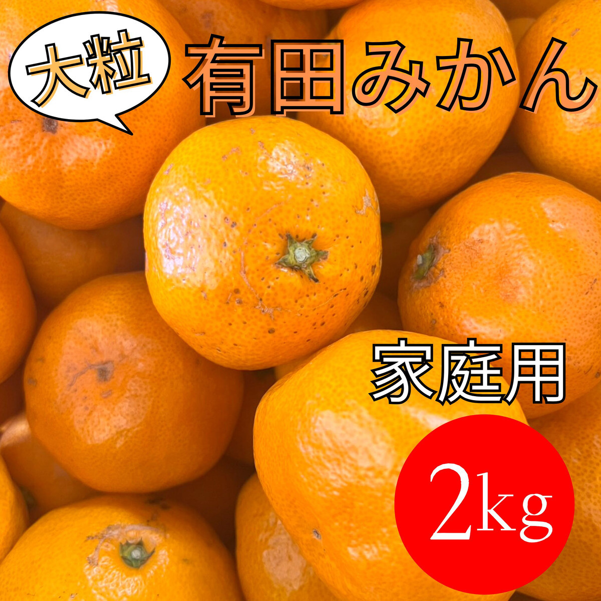 家庭用 大粒有田みかん 2kg (約14個～16個)