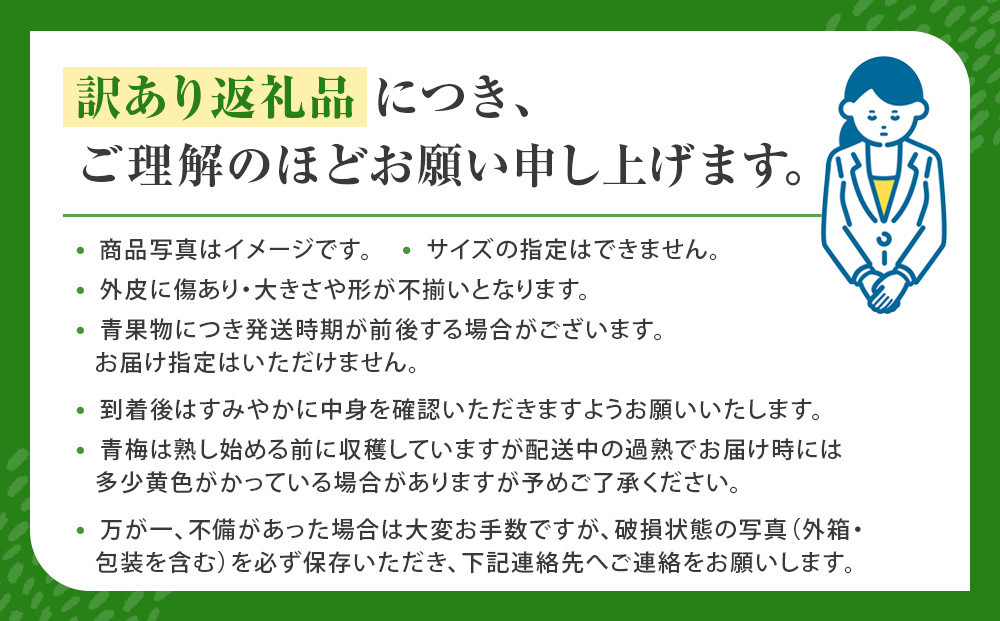 青梅 10kg 訳あり 紀州南高梅 シロップ・梅酒・梅干し用等 和歌山県有田産 2026年5月下旬～7月上旬発送予定