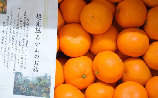 ［濃厚・まろやか］有田産樹上越冬完熟みかん5kg（L～2Lサイズ混合・秀品）★2027年1月下旬頃より順次発送