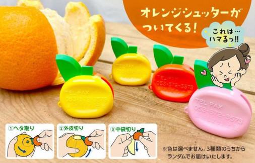 八朔 訳あり それでも 有田の八朔  (はっさく) 箱込 7.5kg (内容量約 6.8kg) サイズミックス B品 和歌山県産  産地直送［おまけ付き］［みかんの会］