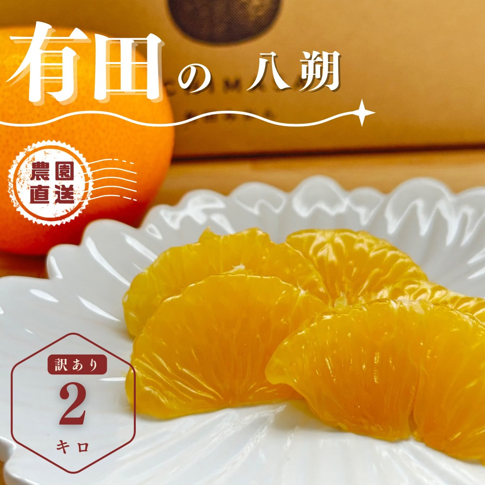 ããµãããšçŽçšããå
è¡äºçŽã å
«æ 2kg èš³ãã ãµã€ãºæ··å ææ© ãã«ãŒã ã¯ã£ãã ç£å°çŽé ãåãå¯ã éæç¡æ