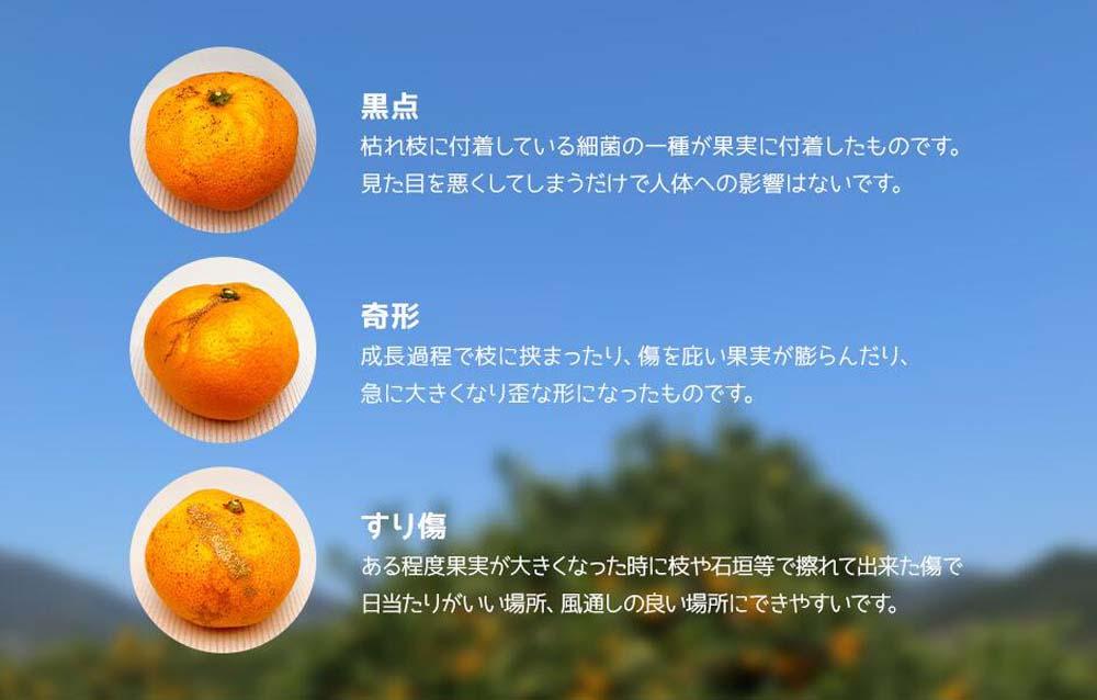 みかん 大玉 どっこいしょ 箱込 5kg ( 内容量約 4.4kg ) 2Lサイズ以上 秀品 優品 混合 有田みかん 和歌山県産 産地直送 家庭用［2026年11月中旬より順次出荷予定］［みかんの会］