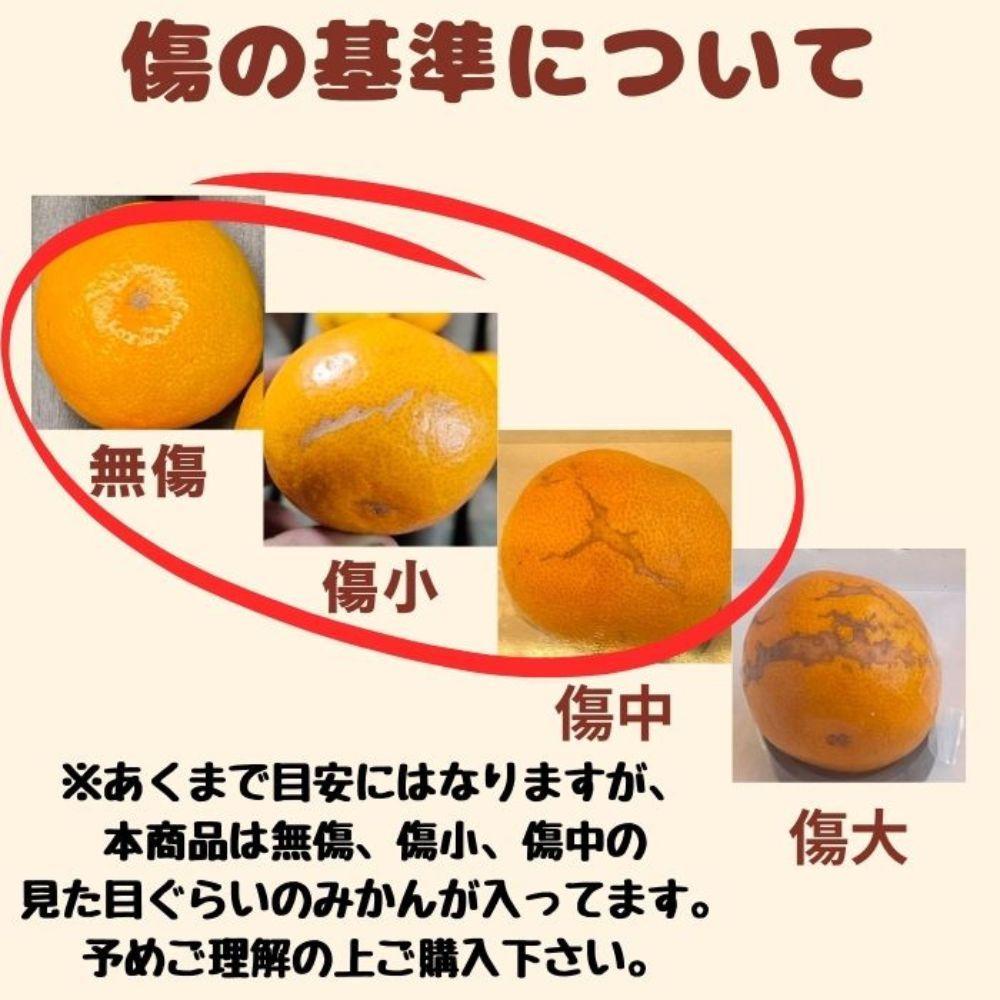 有田みかん 由良早生S～Lサイズ混合 約5kg 【2026年発送 先行予約】