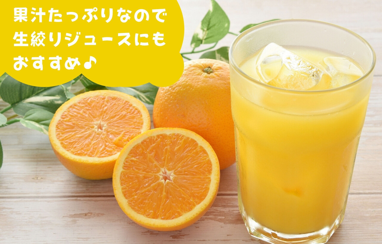 バレンシアオレンジ 国産 玉ぞろい 秀品 箱込 2.5kg (内容量 2.3kg ) 2L L M サイズのいずれか 和歌山県産 産地直送【みかんの会】