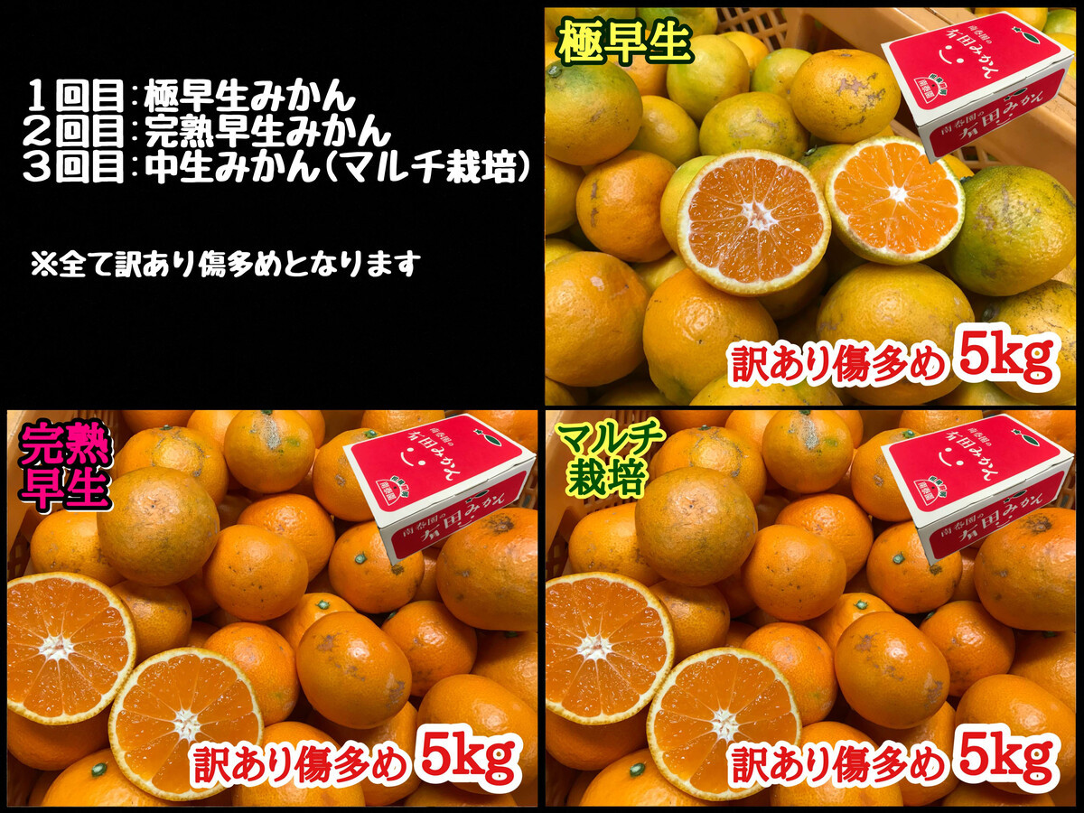 å®æäŸ¿ èš³ãã å·å€ã 5kg à 3å ã³ãŒã¹ æç°ã¿ãã é£ã¹ããã¹ 3çš® å
š3å åæ³°å