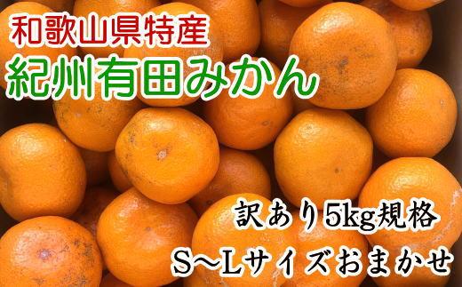 [訳あり]和歌山有田みかん約5kg（S～Lサイズいずれかお届け）★2026年11月中旬頃より順次発送［TM81w］