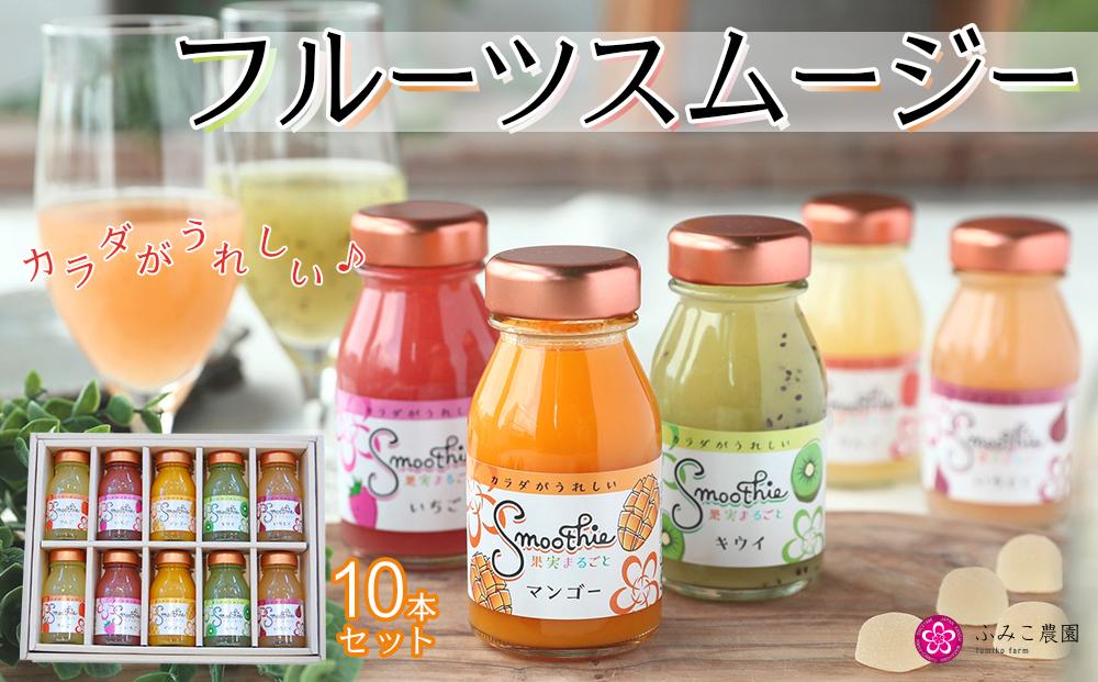 フルーツスムージー 10本セット