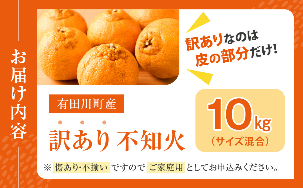 不知火(しらぬい) オレンジ みかん 訳あり 10kg サイズ混合