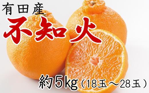 ［濃厚］有田の不知火約5kg（18～28玉）★2027年2月中旬頃より順次発送