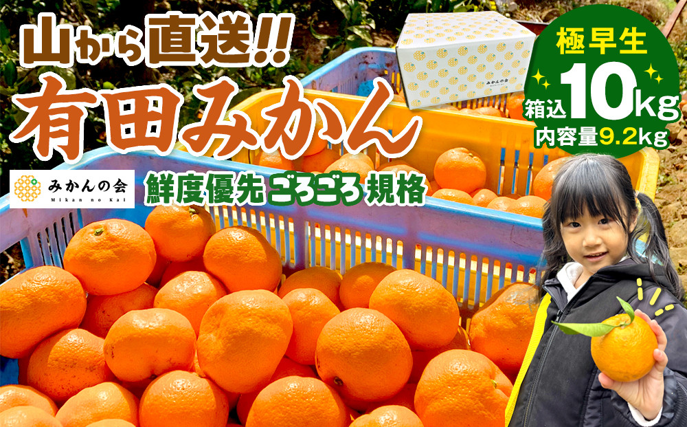 みかん 極早生 山から直送 箱込 10kg (内容量約 9.2kg) 採れたてそのままごろごろ規格 有田みかん 和歌山県産 【みかんの会】［2026年10月上旬頃より順次発送予定］