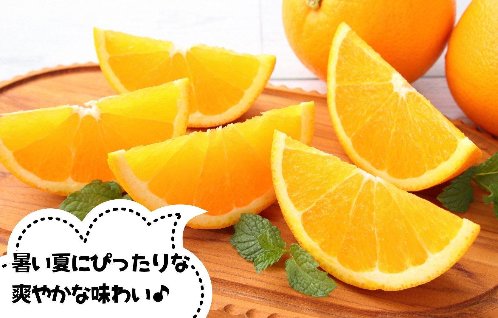 ãã¬ã³ã·ã¢ãªã¬ã³ãž åœç£ çããã ç§å 箱蟌 5kg (å
容é 4.4kg ) 2L L M ãµã€ãºã®ãããã åæå±±çç£ ç£å°çŽéãã¿ããã®äŒã