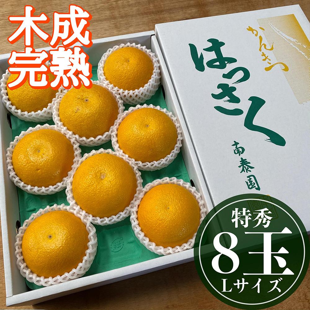 4月 まで 木成 完熟 させた 有田 はっさく 特秀 L × 8玉 化粧箱 南泰園 みかん