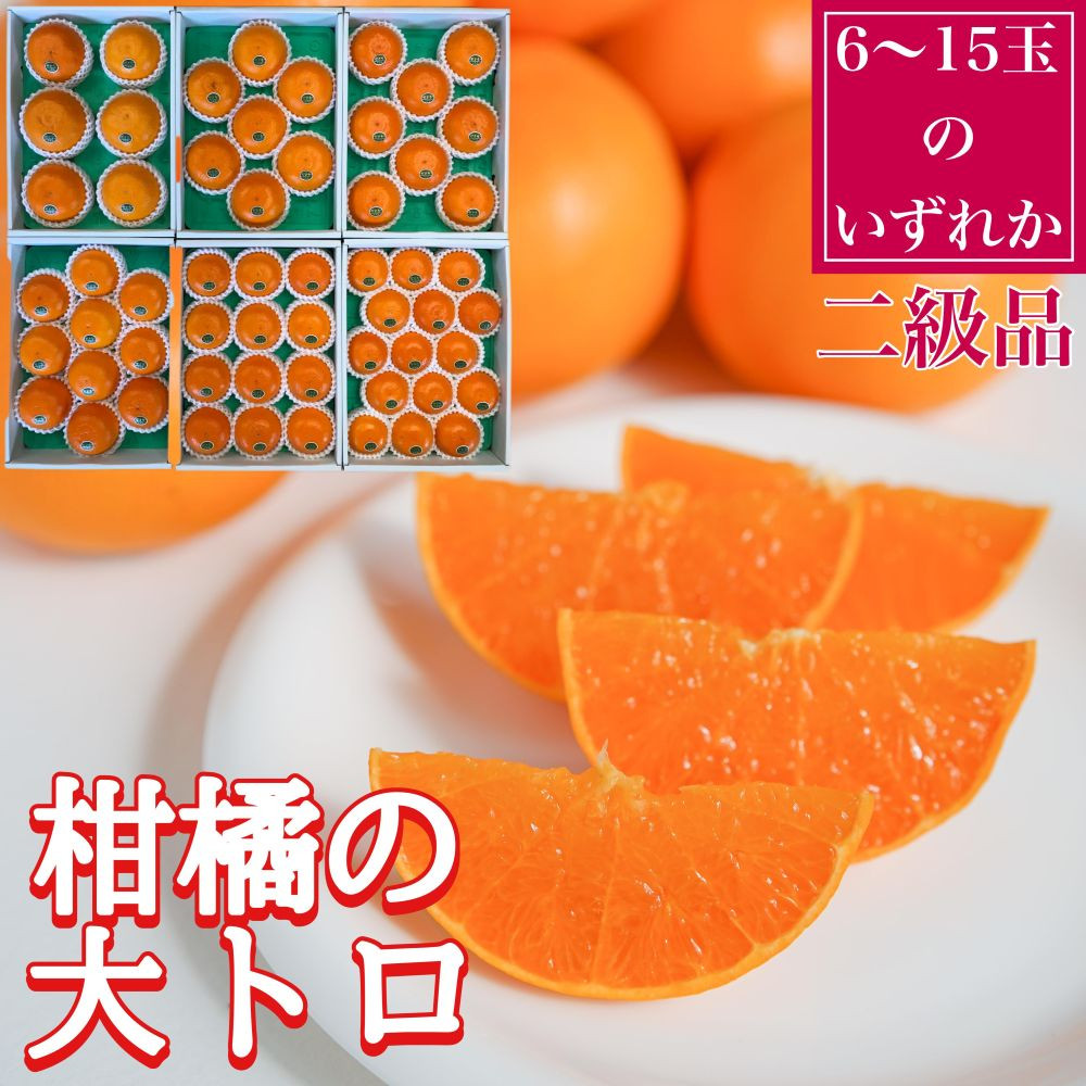 å®æäŸ¿ æ¥ã«æ¥œãã ããŠã¹ ããšã ïŒ æšæ å®ç æç° ã¯ã£ãã å·ãã äºçŽå ã»ãã å
š2å åæ³°å