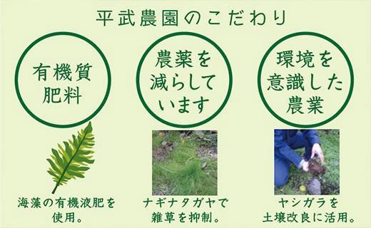 無添加100％みかんジュース 1000ml×1本【平武農園】～蛍飛ぶ町から旬の便り～