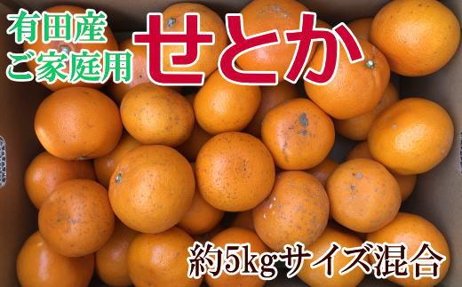 (訳あり・ご家庭用)一度は食べていただきたい「有田産のせとか」約5kg★2027年2月中旬頃より順次発送