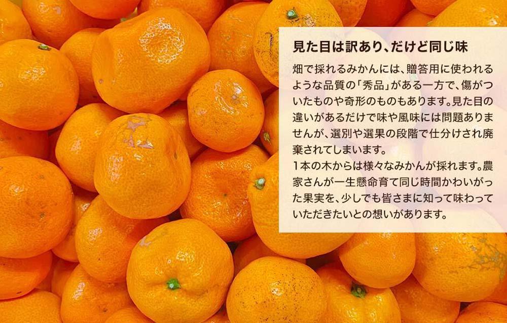 縺ソ縺九s 螻ア縺九i逶エ騾 邂ア霎シ 邏1kg(蜀螳ケ驥冗エ 0.9kg) 繧オ繧、繧コ繝溘ャ繧ッ繧ケ 蜥梧ュ悟アア逵檎肇 逕」蝨ー逶エ騾 螳カ蠎ュ逕ィシサ2026蟷エ11譛井クュ譌ャ繧医j鬆谺。蜃コ闕キ莠亥ョ夲シスシサ縺ソ縺九s縺ョ莨夲シス
