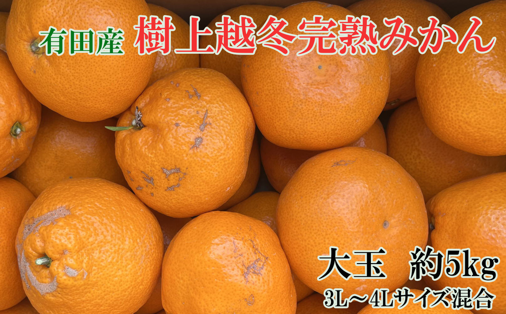 [先行予約]［濃厚・まろやか］有田産樹上越冬完熟みかん大玉約5kg（3L・4Lサイズ・秀優混合品）★2027年1月下旬頃より順次発送